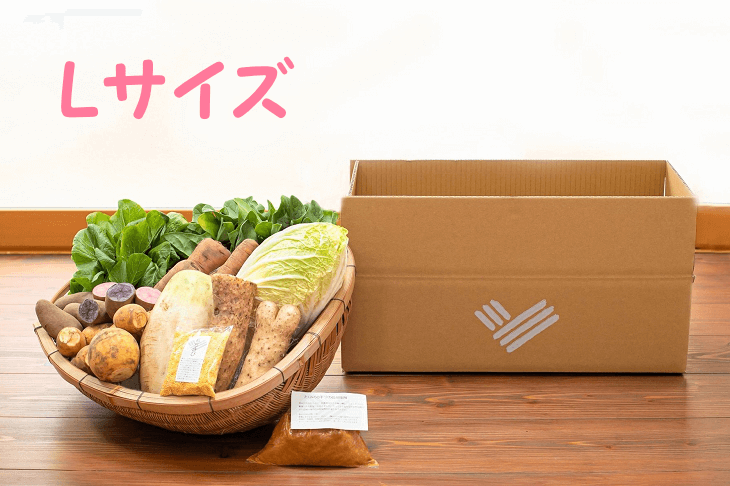 【ギフト特典】お得セットL（10種、送料別）