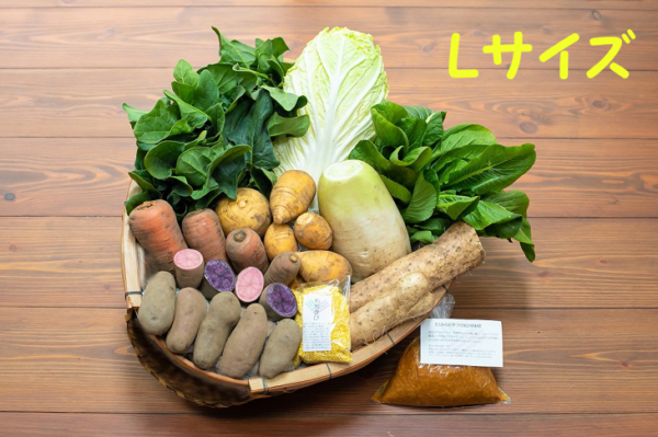 【3回連続】【農園受取】お得セットL（10種、送料・箱無し）