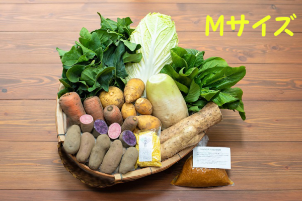 【3回連続】【農園受取】小家族セットM（少量10種、送料・箱無し）